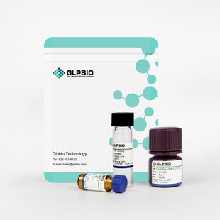 Gk10001Cell Counting kit-8 (CCk-8)