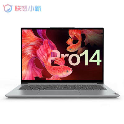 Lenovo/联想 小新pro14/pro16 笔记本电脑轻薄本学生办公2021款
