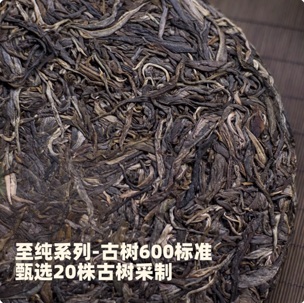2023春至纯贺开单株级古树600云南普洱生茶200g七子饼自己喝便携