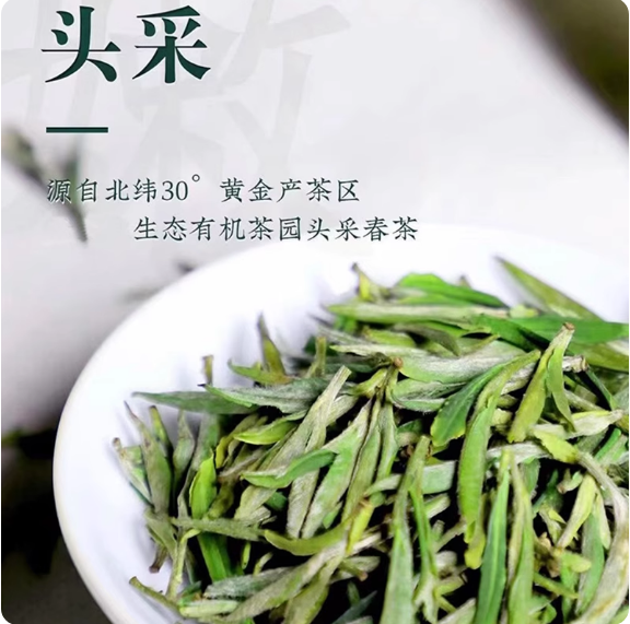 玛玉茶 玛玉银针 正宗云南红河州绿春县特产2026新春嫩芽绿茶叶散