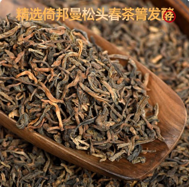 2021年云南勐腊倚邦曼松贡茶王子山背阴山头春发酵普洱熟茶散250g