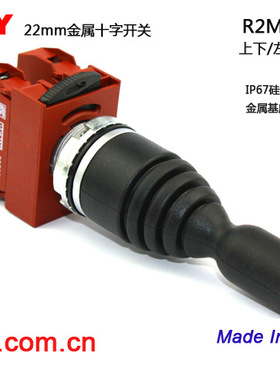 台湾雷力 RENY 原装进口 十字开关 一字R2MNTF 双向1自复位+1自锁