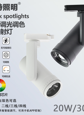黑色30瓦可调光大瓦数博物馆照明可调焦美术馆cob芯片led轨道射灯