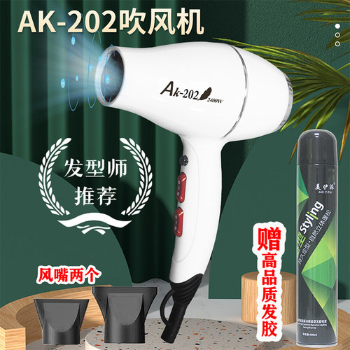 风大师AK202吹风机理发店同款