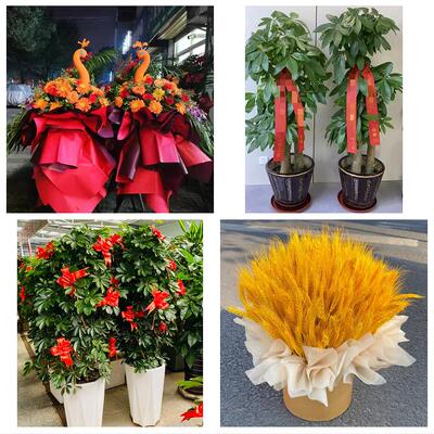 泉州市金门县石狮晋江南安市同城鲜花店新店开业花篮公司乔迁开张