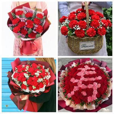唐山市丰南丰润区滦县滦南县同城鲜花店送长辈父母亲节康乃馨花束
