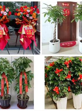 秦皇岛青龙昌黎抚宁区卢龙县同城鲜花店新店开业花篮公司乔迁开张