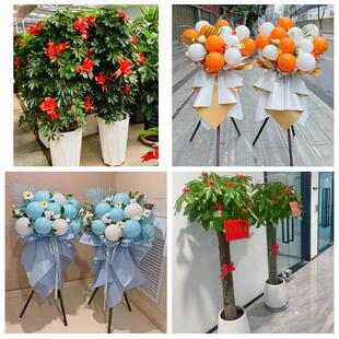 永州市东安双牌县道县江永县同城鲜花店新店开业花篮公司乔迁开张