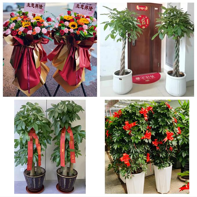 岳阳市岳阳楼区云溪区君山区同城鲜花店新店开业花篮公司乔迁开张