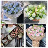 江苏盐城市响水县滨海县阜宁县鲜花店同城配送女朋友情人节红玫瑰