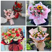 天水市秦州麦积区清水秦安县同城鲜花店38女王节康乃馨送妈妈婆婆