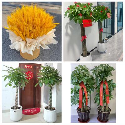 江门市蓬江江海新会区台山市同城鲜花店新店开业花篮公司乔迁开张