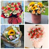 上海市浦东新区康桥航头六灶同城鲜花店38女王节康乃馨送妈妈婆婆