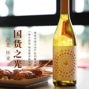 冷凉产区河北怀来一条小驼驼精选霞多丽干白 国产精品干白葡萄酒