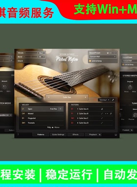 Guitarist Picked Nylon KONTAKT 尼龙弦原声吉他 自动节奏LOOP