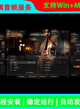 Session Bassist Upright Bass KONTAKT低音提琴贝斯节奏LOOP