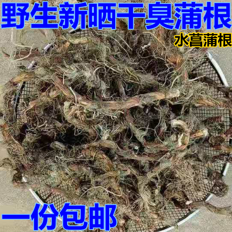野生新晒干水菖蒲泥菖莆干臭蒲根水菖蒲草根水剑草中药材一斤包邮