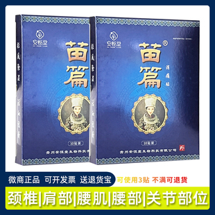 安恒堂苗篇消痛贴阿祖消痛保健贴颈椎肩周腰肌腰腿膏药10贴装