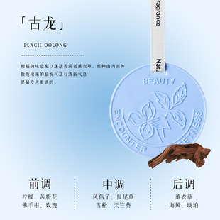持久留香氛汽车内香水高级感网红香片挂件 栀子花车载香薰2024新款
