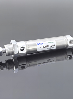 费斯托型不锈钢迷你气缸DSNU8/16/32/50X50X100-P-A标准摆尾平尾