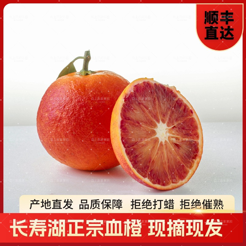 重庆长寿湖特产血脐当季现摘发血橙子新鲜礼盒孕妇宝宝水果发顺丰