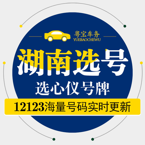 长沙岳阳益阳株洲湘潭昭阳常德选号汽油新能源自编自选车牌选号