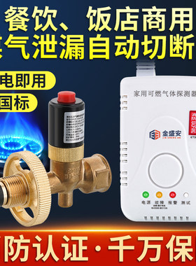 泰博安报警器自动切断阀