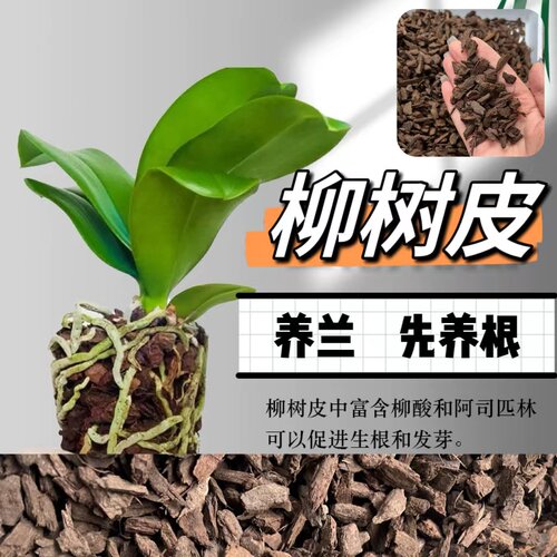 柳树皮高温腐熟兰科专用