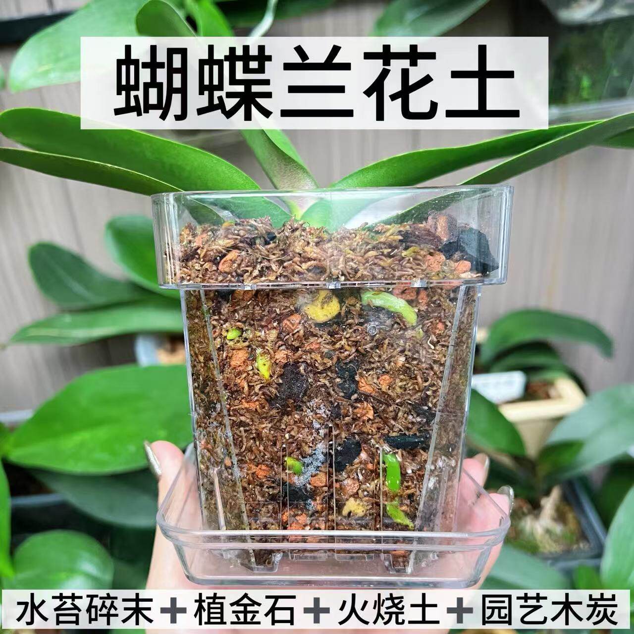 限量款经济型兰花植料水苔碎末混合植金石火烧土