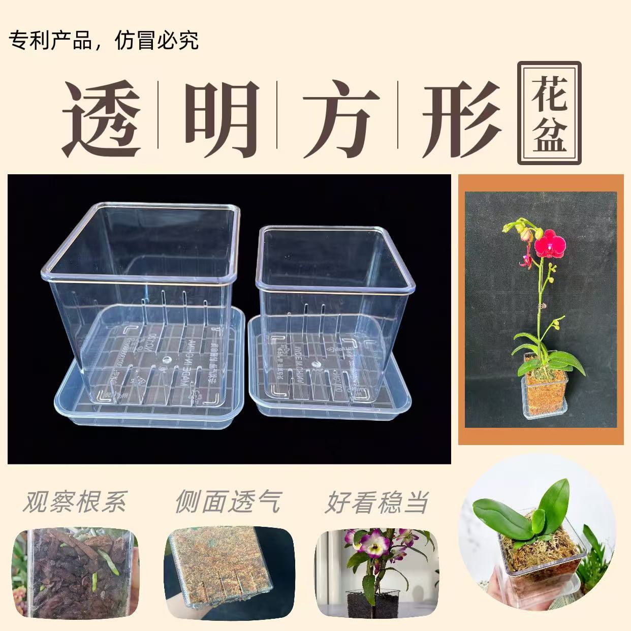 高透明塑料方形带底孔透气桌面水培花盆蝴蝶兰洋兰带托盘无卡扣