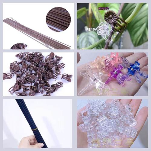 蝴蝶兰支撑铁线水晶夹子