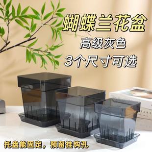 识兰蝴蝶兰专用方形花盆高级灰色洋兰适合新手四面透气