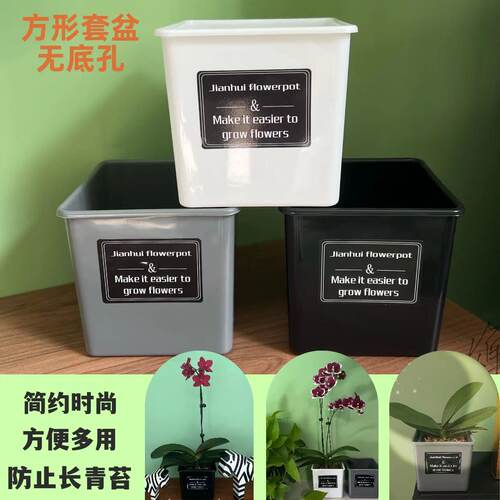 悠然小亭热销蝴蝶兰塑料简约