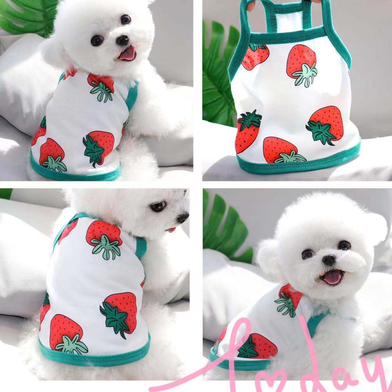 泰迪比熊宠物草莓吊带通用