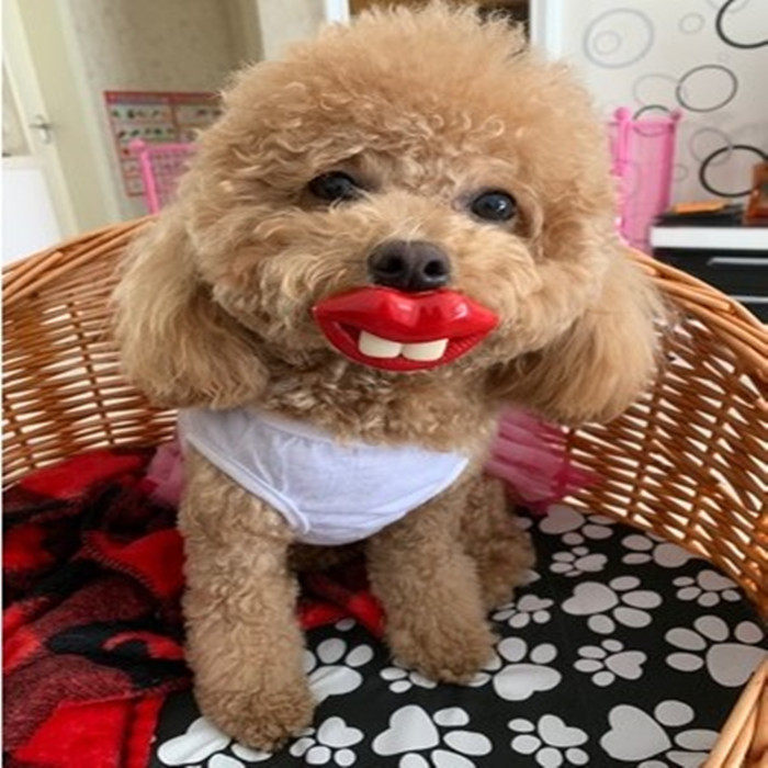 狗狗玩具宠物狗狗搞怪奶嘴泰迪斗牛巴哥犬大红嘴唇搞笑安抚奶嘴潮