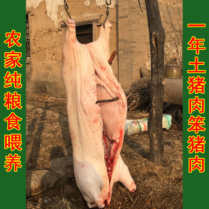 农村土猪肉前后腿肉五花肉笨猪肉生肉肥肠深山农家喂养一年土猪肉