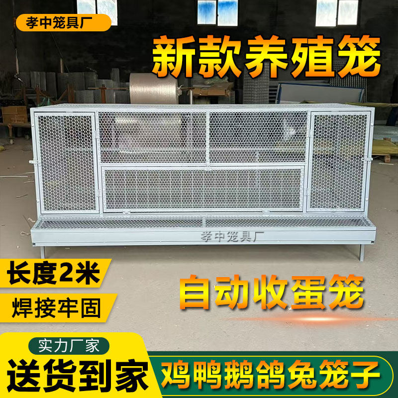 养殖鸡笼鸭笼兔鹅加密冲孔宠物笼室外防锈烤漆防老鼠蛇黄鼠狼笼