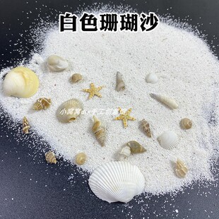 diy手工白色珊瑚沙 水晶滴胶diy海洋风摆件 微景观海洋沙造景