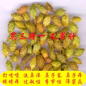 中草药苍耳子打喷嚏流鼻涕过敏季节性鼻子塞鼻通鼻子痒不通气神器