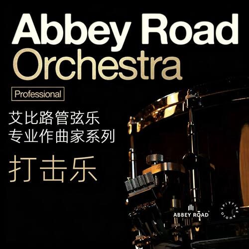 喷火AbbeyRoadOrchestra打击