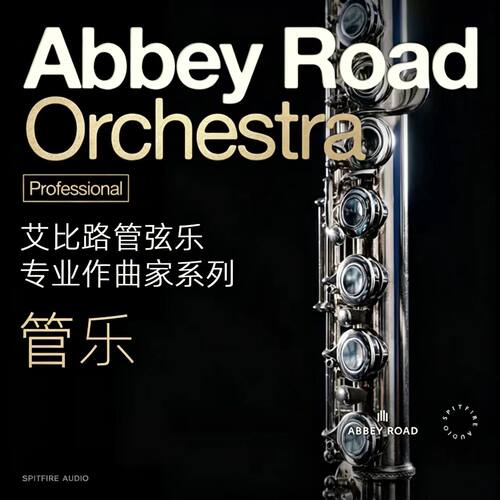 喷火AbbeyRoadOrchestra管乐