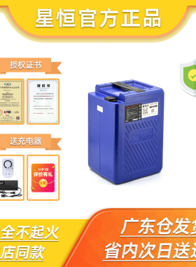 星恒锂电池48v24ah台铃绿源雅迪新日爱玛深远009外卖备用锂电瓶