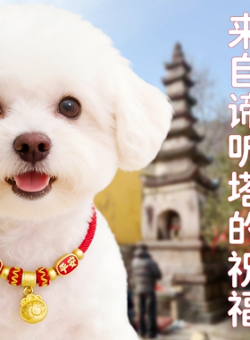 九华山狗长命锁九子岩谛听塔猫平安锁健康红色新年吉祥宠物金锁