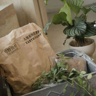 大地植物工作室自用营养土好用看得见棕椰丝智利水苔陶粒土壤