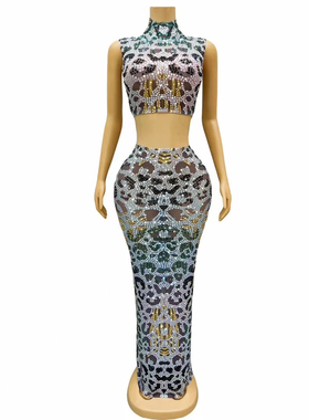 Sparkly Silver Rhinestone Transparent Evening Birthday Dress