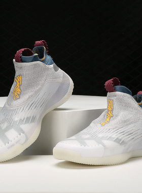 Adidas/阿迪达斯正品 Futurenatural 男子运动篮球鞋 GY2756
