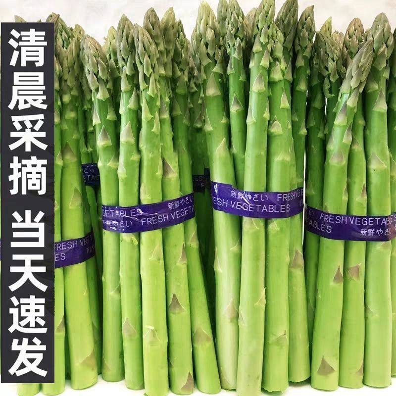 芦笋新鲜白芦笋绿芦笋新鲜嫩青笋芦笋