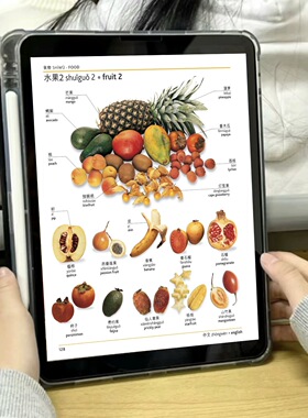 可视化图解picture dictionary电子版dk英语一万词电子版英语会话