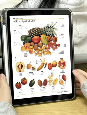 可视化图解picture dictionary电子版dk英语一万词电子版英语会话