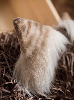 三尾树猫耳虎斑猫耳兽耳原创手作耳朵lolita耳朵头箍